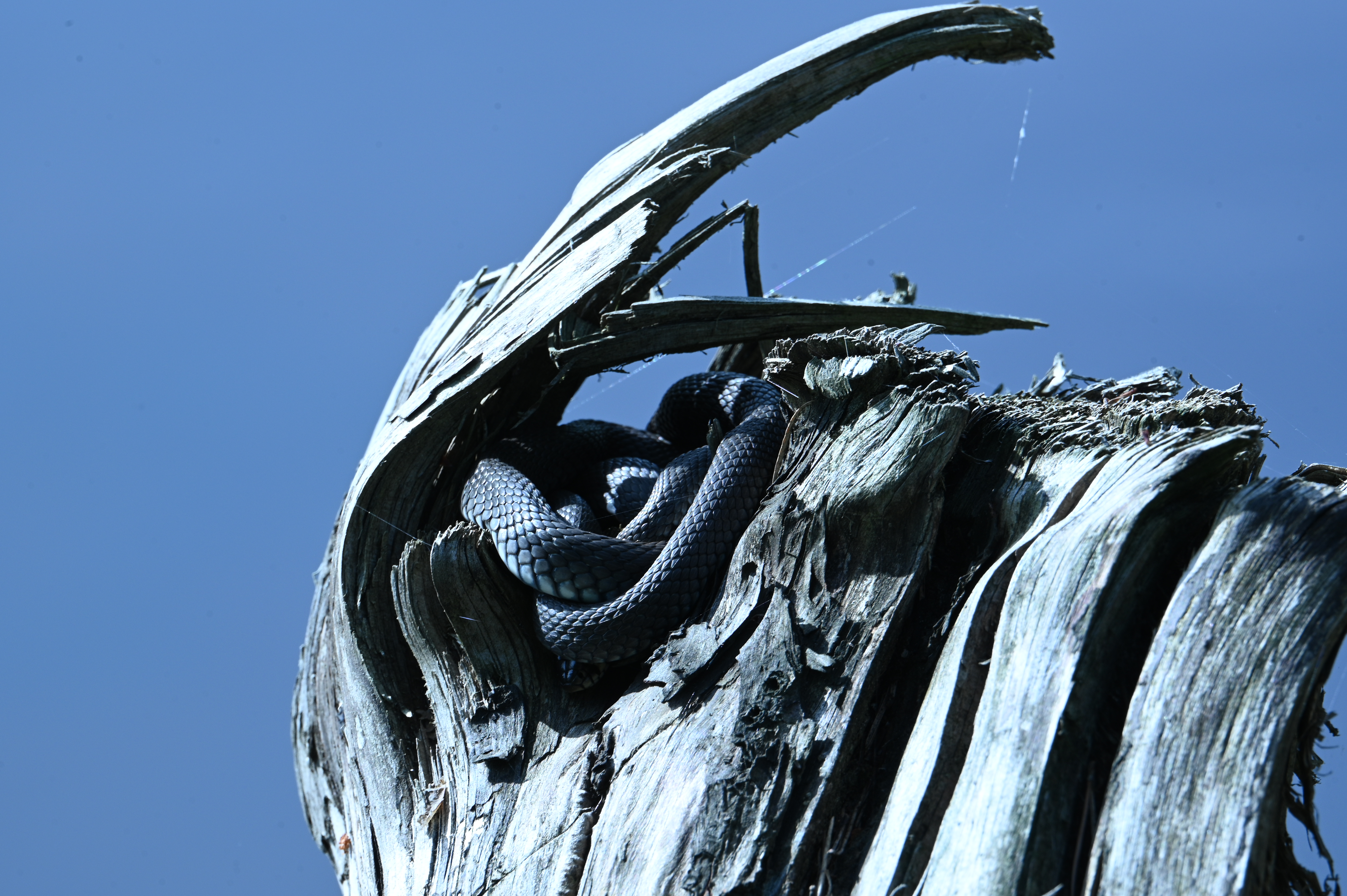 2025/07/09-14 - trip/DSC_0497.JPG